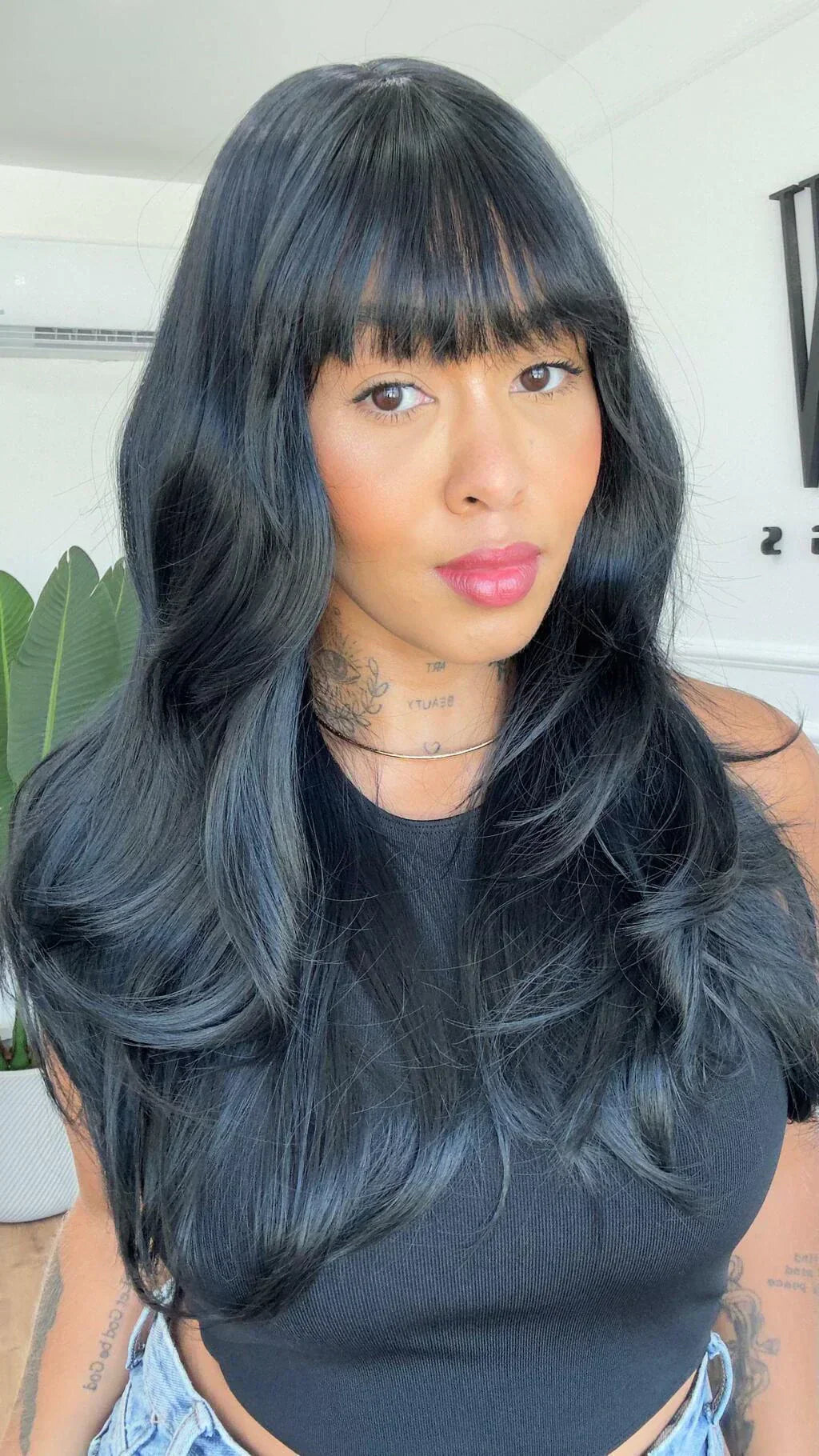 Wig Luisa Preta (Humana)